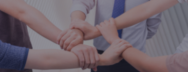 區(qū)域營銷總監(jiān)